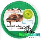Dendrobeana Nr 4 