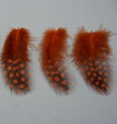 Peří  Nová guinea  vel.5 - 10cm 