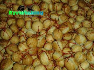 Rohlíkové Boilies přírodní 18mm