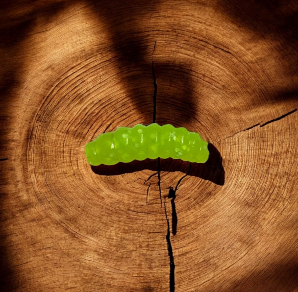 VLÁČECÍ NÁSTRAHY  