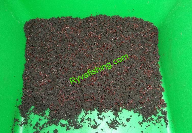 PATENTKA ŽIVÁ MALÁ DO KRMENÍ (JOKERS)RUSKÁ 1KG
