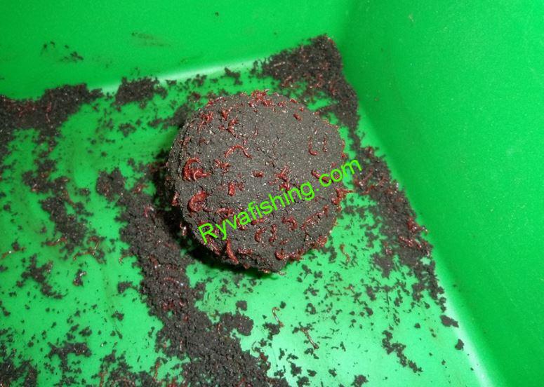 PATENTKA ŽIVÁ MALÁ DO KRMENÍ (JOKERS)POLSKÁ 0,5KG