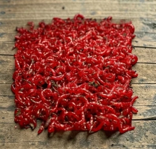 PATENTKA VELKÁ JUMBO 1000G(NOVINY)