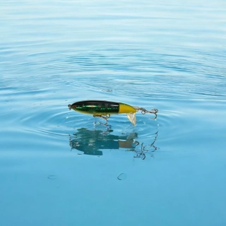 WHOPPER PLOPPER 11CM/17G COL.009