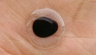 SAMOLEPÍCÍ 3D OČI TRANSPARENT-12MM 20KS 