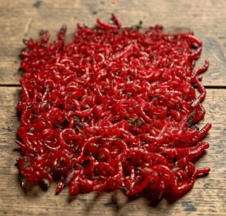PATENTKA VELKÁ JUMBO 250G (NOVINY)