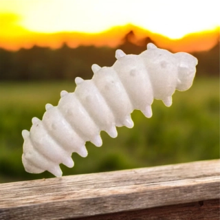 RYVALURES-WORM WHITE HADRÁK - 10KS